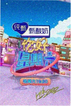 国产剧雾港迷踪海报